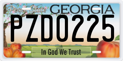 GA license plate PZD0225