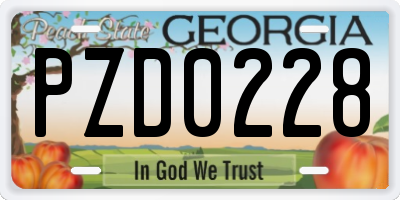 GA license plate PZD0228