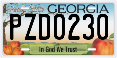 GA license plate PZD0230