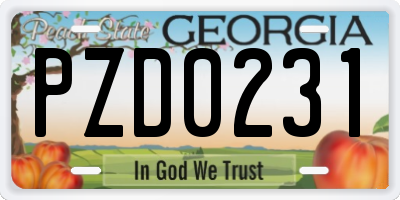 GA license plate PZD0231