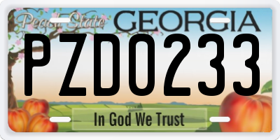 GA license plate PZD0233