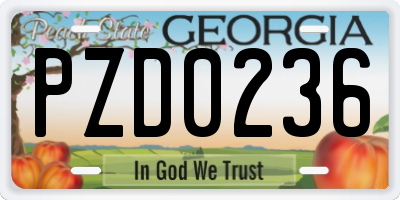 GA license plate PZD0236