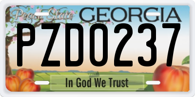 GA license plate PZD0237