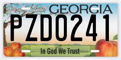 GA license plate PZD0241