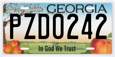 GA license plate PZD0242