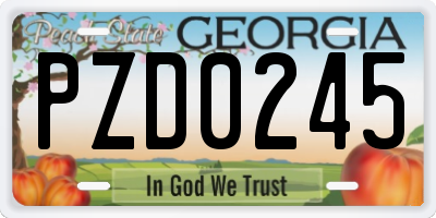 GA license plate PZD0245