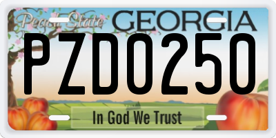 GA license plate PZD0250