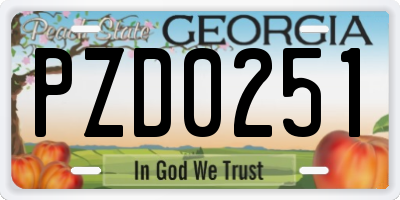 GA license plate PZD0251