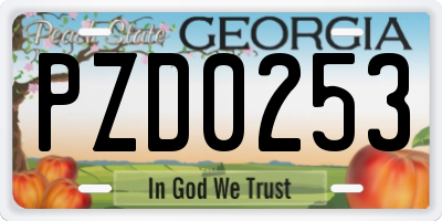 GA license plate PZD0253