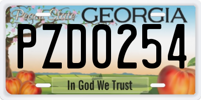GA license plate PZD0254