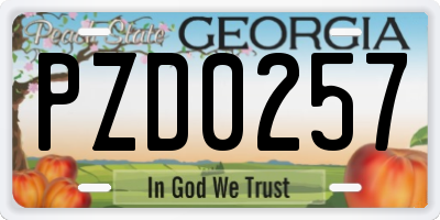 GA license plate PZD0257