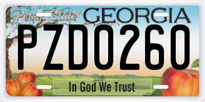 GA license plate PZD0260