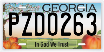 GA license plate PZD0263