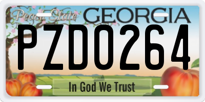 GA license plate PZD0264