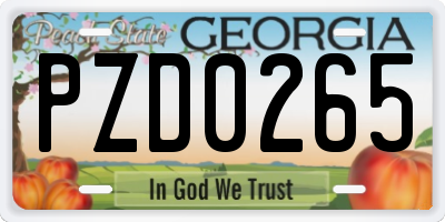 GA license plate PZD0265