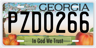 GA license plate PZD0266