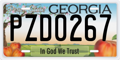 GA license plate PZD0267