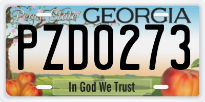 GA license plate PZD0273