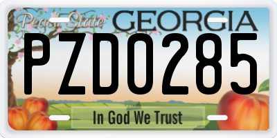 GA license plate PZD0285