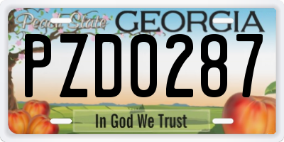 GA license plate PZD0287