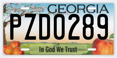 GA license plate PZD0289