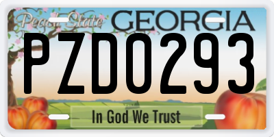 GA license plate PZD0293