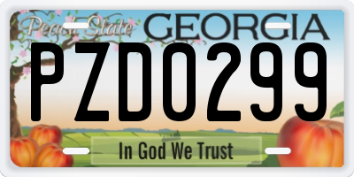 GA license plate PZD0299