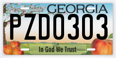 GA license plate PZD0303