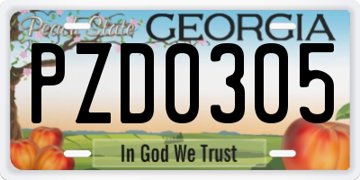 GA license plate PZD0305
