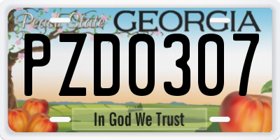 GA license plate PZD0307