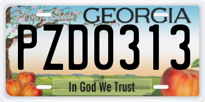 GA license plate PZD0313