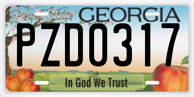 GA license plate PZD0317