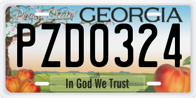 GA license plate PZD0324