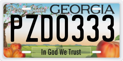 GA license plate PZD0333