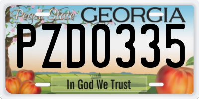 GA license plate PZD0335