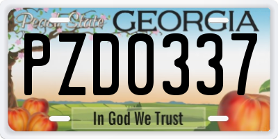 GA license plate PZD0337