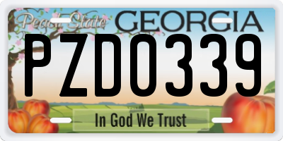 GA license plate PZD0339