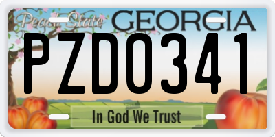 GA license plate PZD0341