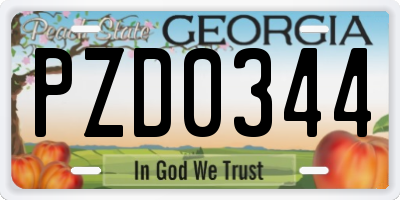 GA license plate PZD0344