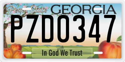 GA license plate PZD0347