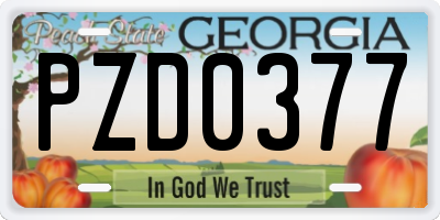 GA license plate PZD0377