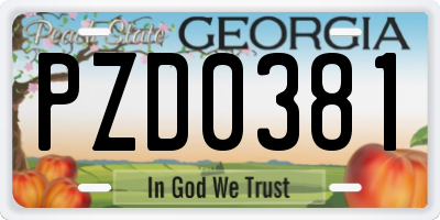 GA license plate PZD0381