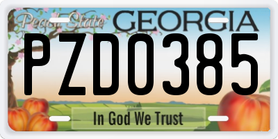 GA license plate PZD0385