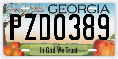 GA license plate PZD0389