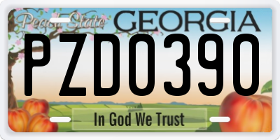 GA license plate PZD0390