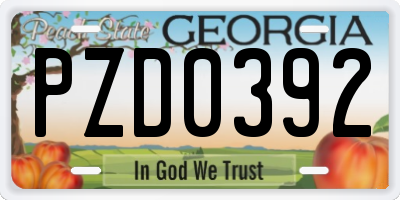 GA license plate PZD0392