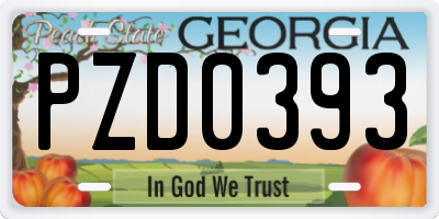 GA license plate PZD0393
