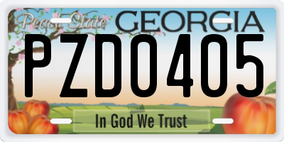 GA license plate PZD0405