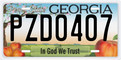 GA license plate PZD0407