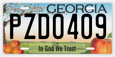 GA license plate PZD0409